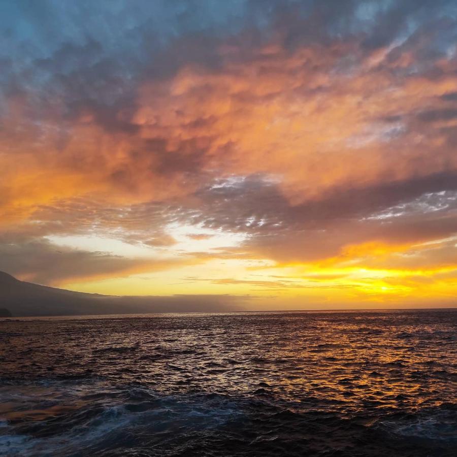 Tenerife Anahata Relax Vv タコロンテ エクステリア 写真